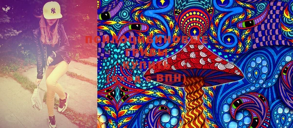 ешки Няндома